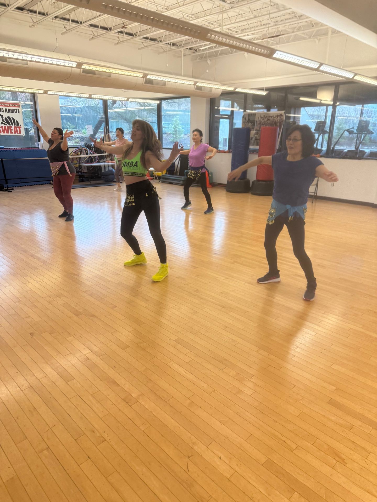 Dynamic Zumba TSN Classes